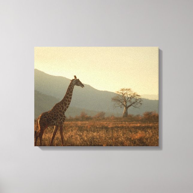 Impressão Em Tela Girafa na Savana (Frente)