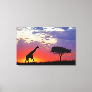 Impressão Em Tela Girafa silhuetada ao nascer do sol, Giraffa