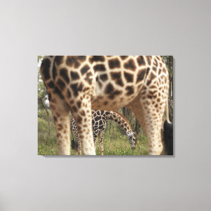 Impressão Em Tela Girafas 4