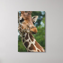 Impressão Em Tela Giraffe Lovers Art