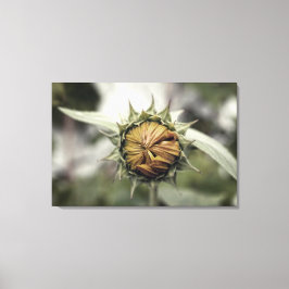 Impressão Em Tela Girassol amarelo com pétalas fechadas