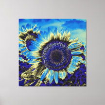 Girassol Azul
