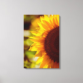 Impressão em Tela Girassol Floral Fotografia da Na