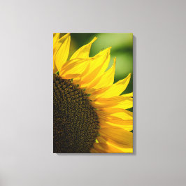 Impressão em Tela Girassol Floral Fotografia da Na