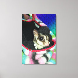 Impressão Em Tela Glider de Açúcar Vestindo Chapéu