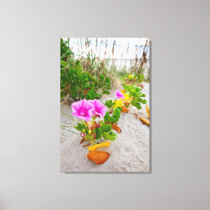Impressão Em Tela Glória-da-manhã-da-praia (Ipomoea Stolonifera)