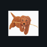 Impressão Em Tela Golden Doodle<br><div class="desc">Canvas print with an image of a cute golden doodle. Original artwork by W.B.</div>