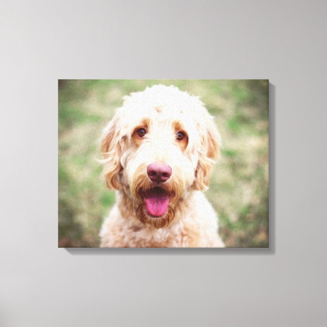 Impressão Em Tela Goldendoodle sorrindo (Frente)