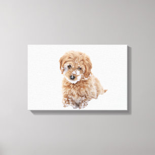 Impressão Em Tela Goldendoododle Puppy Com Neve Virada