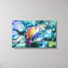 Impressão Em Tela Goldie do mar