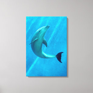 Impressão Em Tela Golfinho