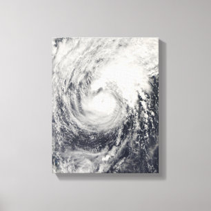 Impressão Em Tela Golfinho do tufão no mar filipino