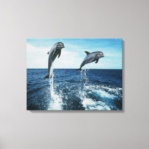 Impressão Em Tela Golfinhos Gêmeos