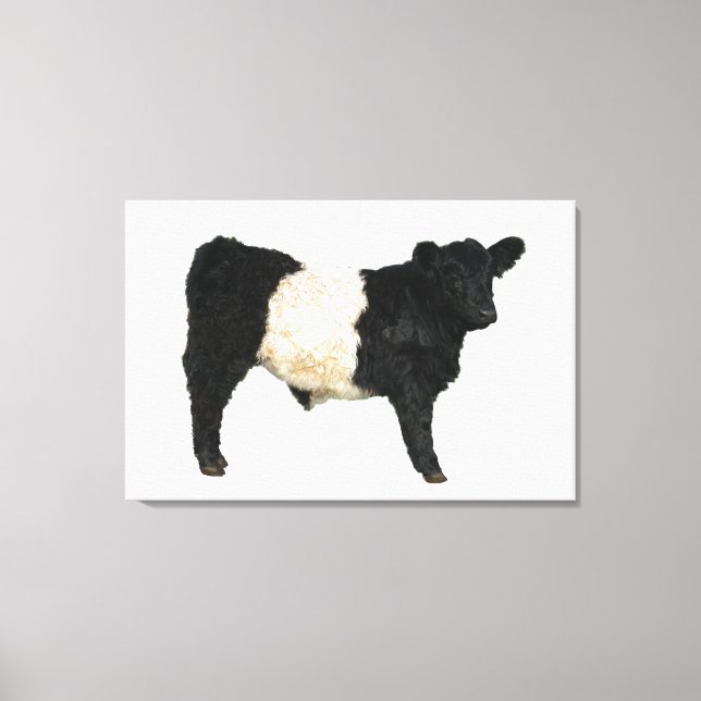 Impressão Em Tela Gorgeous Belted Galloway Steer Cutout Beltie Gift  (Frente)