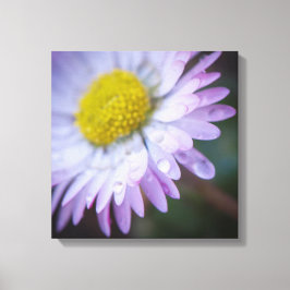 Impressão Em Tela Gotas de chuva em uma margarida