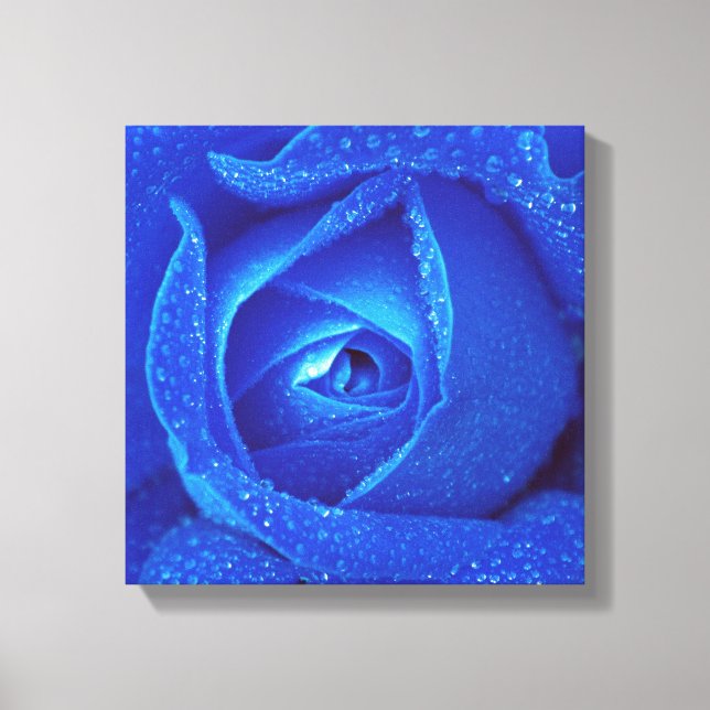 Impressão Em Tela Gotas De Chuva Num Rosa Azul (Frente)