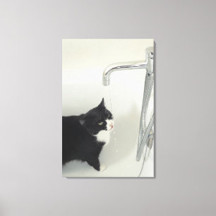 Impressão Em Tela Gotejamento da água potável do gato de uma