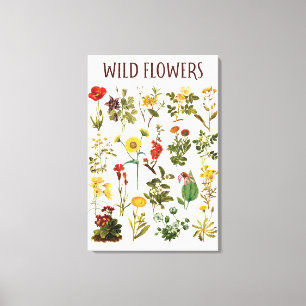 Impressão Em Tela Gráfico de Flores Silvestres Antigas
