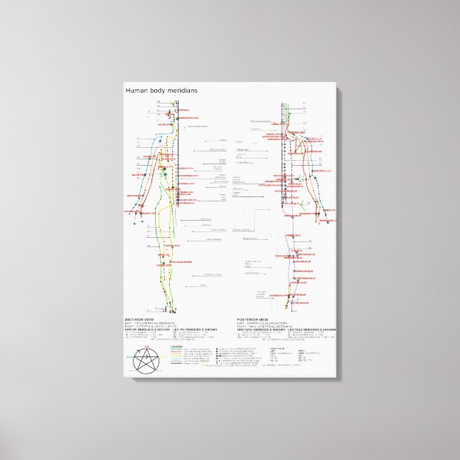 Impressão Em Tela Gráfico esquemático Corpo Humano Chinês Meridians (Frente)