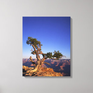 Impressão Em Tela Grande Canyon, Arizona, EUA