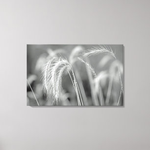 Impressão Em Tela Grãos Selvagens - Pretos E Brancos