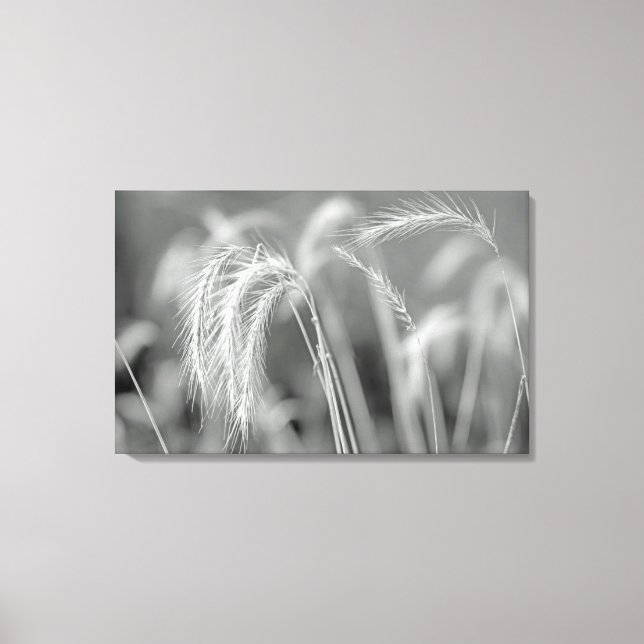 Impressão Em Tela Grãos Selvagens - Pretos E Brancos (Frente)