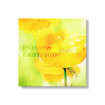 Gratidão Expressa - Laranja