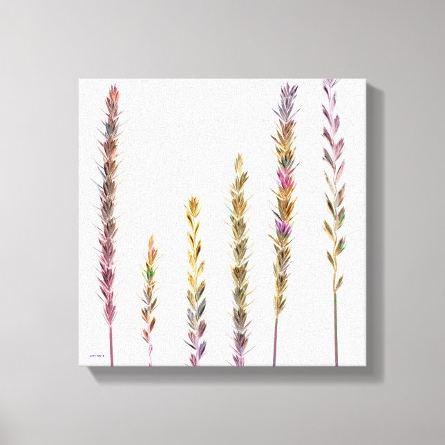 Impressão Em Tela Graus Coloridos (Frente)