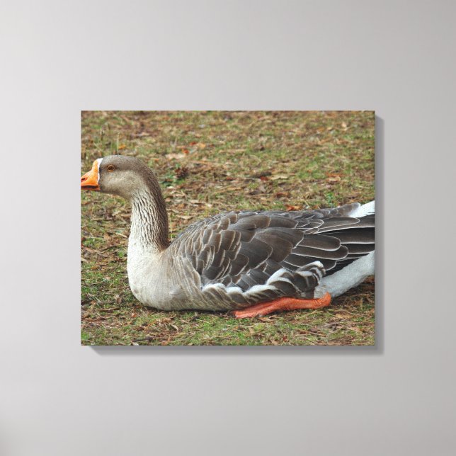 Impressão Em Tela Greylag Swan Goose Cross (Frente)