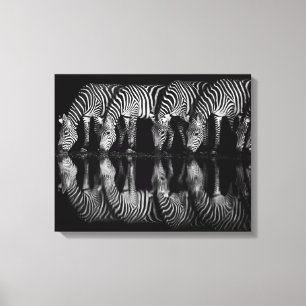 Impressão Em Tela Grupo de Zebras da Planície Bebem Juntas à Noite
