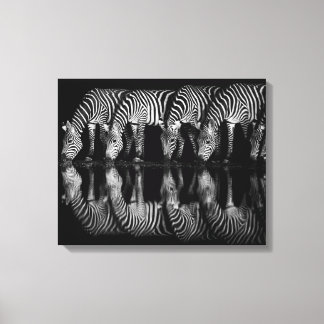 Impressão Em Tela Grupo de Zebras da Planície Bebem Juntas à Noite