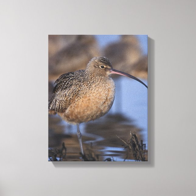 Impressão Em Tela guindaste longo (Frente)