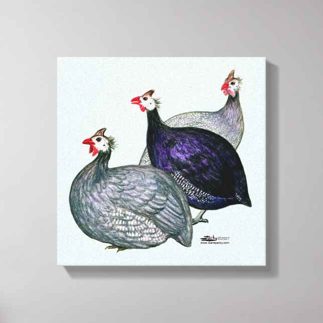 Impressão Em Tela Guineas Três (Frente)