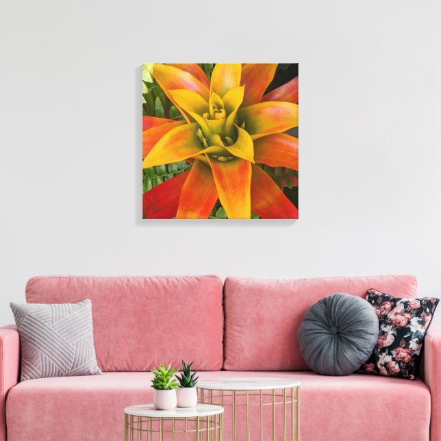 Impressão Em Tela Guzmania Bromeliad Plant Floral (Insitu(Sala de estar))