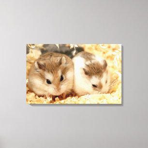 Impressão Em Tela Hammyville - Hamsters Bonitos