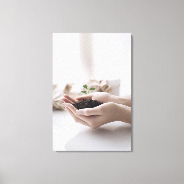 Impressão Em Tela Hands Holding Seedling Growth Hope (Frente)