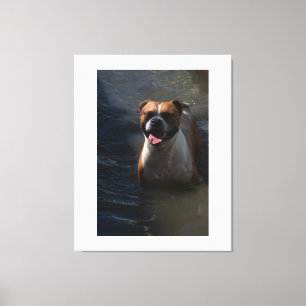 Impressão Em Tela Happy Dog Swimming