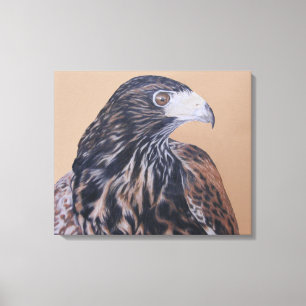 Impressão Em Tela Harris imaturo Hawk