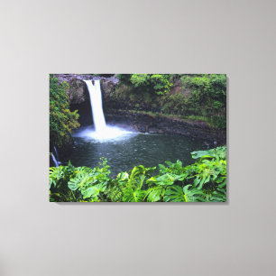 Impressão Em Tela Havaí, Ilha Grande, Hilo, Cachoeira Arco-Íris, Exu