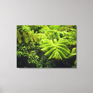 Impressão Em Tela Havaí, Ilha Grande, Vegetação tropical exuberante 