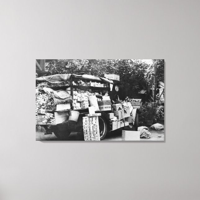 Impressão Em Tela Havaí - Vista de um Vagão Vegetal Nativo (Frente)