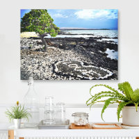 Hawaii Black Sand Beach e Coral "Love" Heart Photo