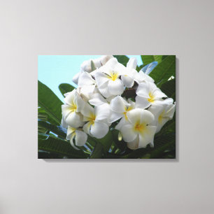 Impressão Em Tela Hawaii Plumeria
