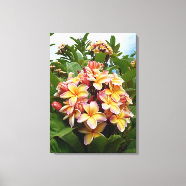 Impressão Em Tela Hawaiian Plumeria (Frente)