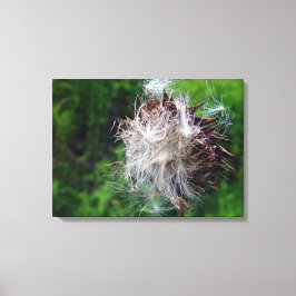 Impressão Em Tela Head Of Bull Thistle 