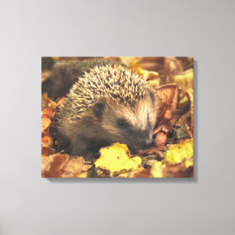 Impressão Em Tela Hedgehog No Outono