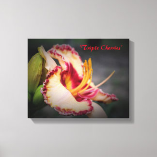 Impressão Em Tela Hemerocallis 'Triple Cherries' Arte