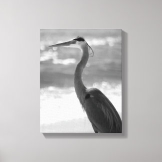 Impressão Em Tela Herão preto e branco na praia 11x14