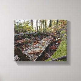 Impressão Em Tela Herbst