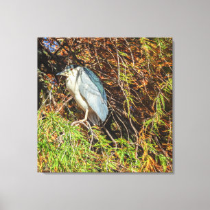 Impressão Em Tela Heron na árvore